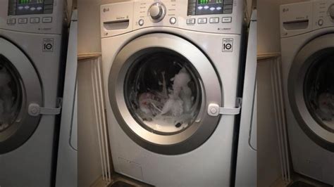 6M 99 11min - 1080p La hermanastra se qued&243; atascada en la lavadora. . Stuck in washing machine porn